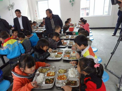 严整学校小卖部与食堂，让食品安全落地家长心安